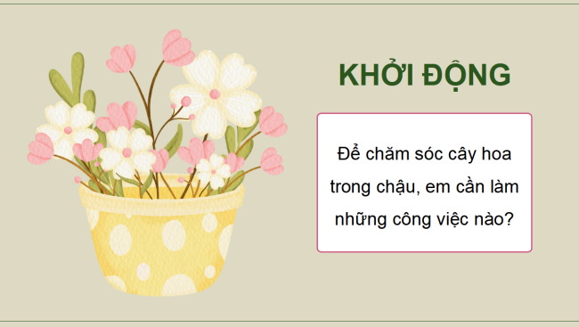 PowerPoint Công nghệ 4 Bài 6: Trồng và chăm sóc hoa trong chậu