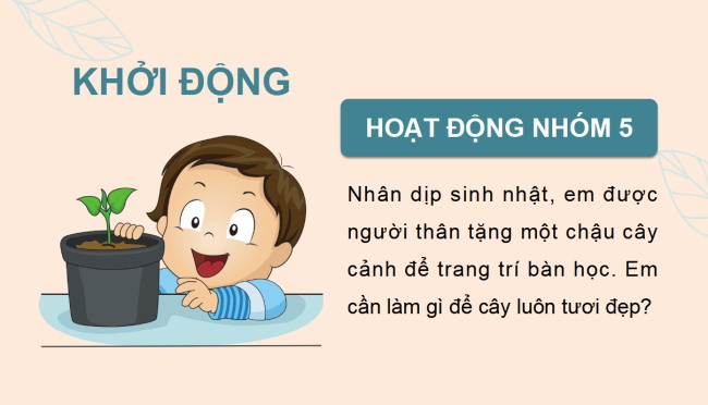 PowerPoint Công nghệ 4 Bài 7: Trồng và chăm sóc cây cảnh trong chậu