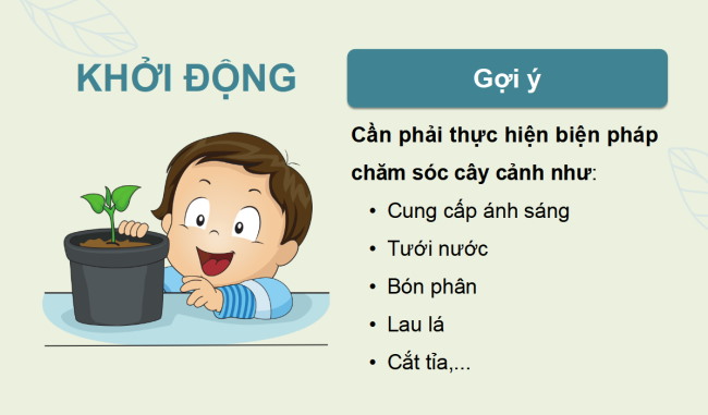PowerPoint Công nghệ 4 Bài 7: Trồng và chăm sóc cây cảnh trong chậu