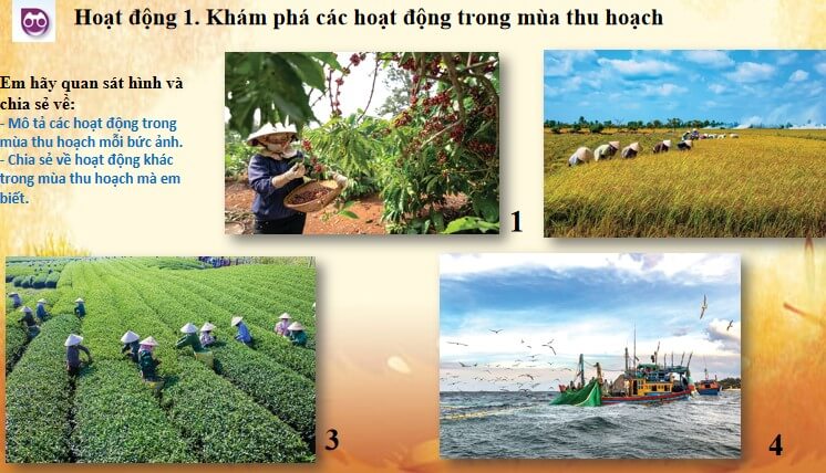 Mii thuat 5 CTST chu de 5 bai 1 6 1*479426