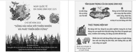 Đề minh họa thi vào 10 TP HCM 2025-2026