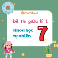  Bộ đề thi giữa học kì 1 KHTN 7 Theo CV 7991 (Có đáp án + Ma trận)