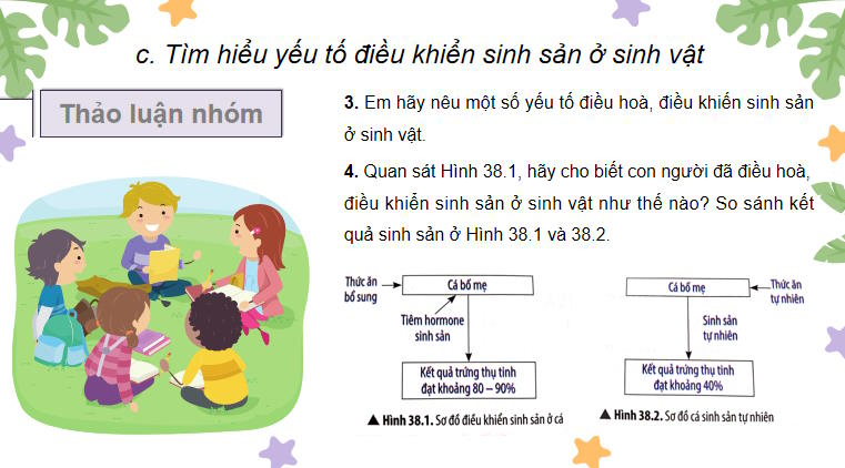 PowerPoint Khoa học tự nhiên 7 Bài 38