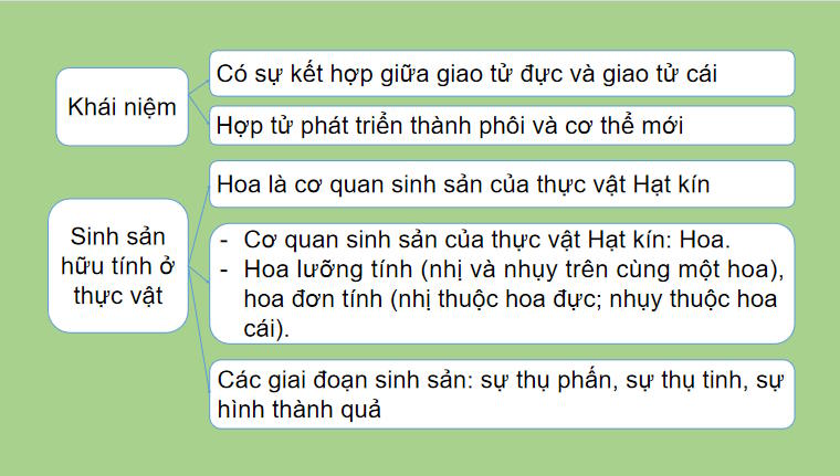 Khoa học tự nhiên 7: Ôn tập chủ đề 10
