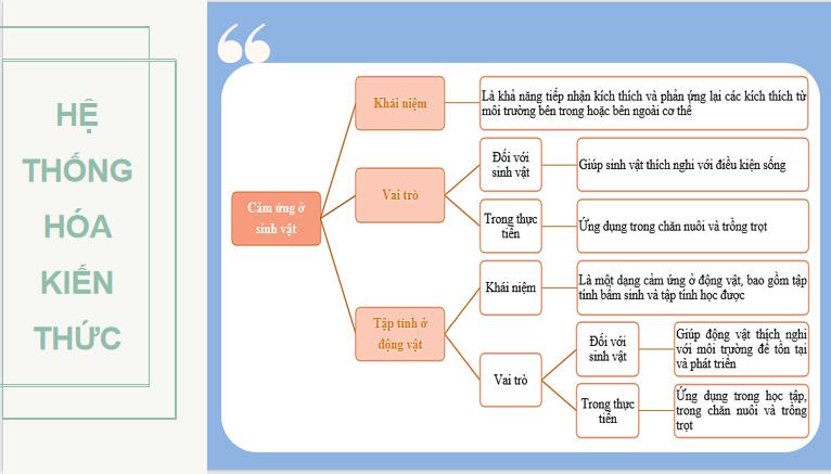  Khoa học tự nhiên 7: Ôn tập chủ đề 8, 9 