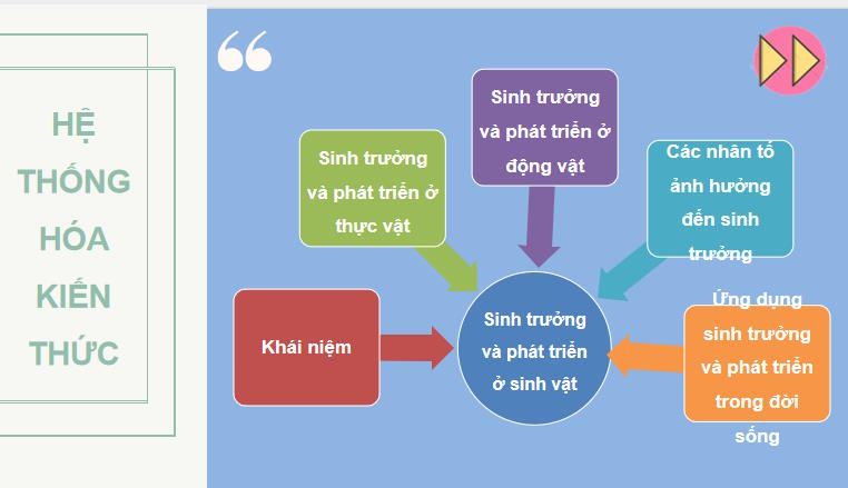  Khoa học tự nhiên 7: Ôn tập chủ đề 8, 9 