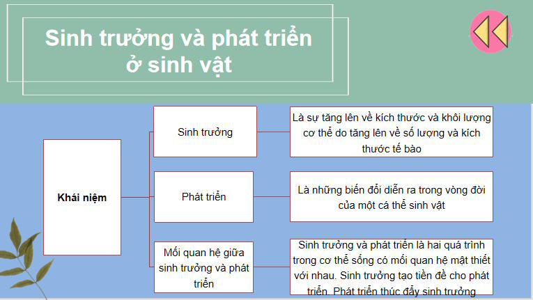  Khoa học tự nhiên 7: Ôn tập chủ đề 8, 9 