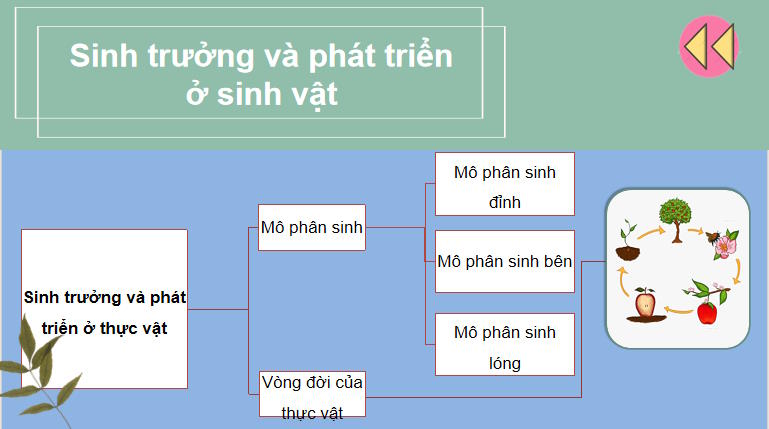  Khoa học tự nhiên 7: Ôn tập chủ đề 8, 9 