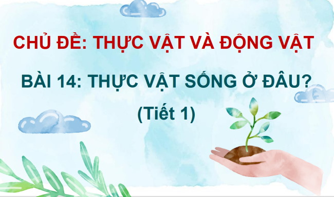 PowerPoint Tự nhiên và xã hội 2 Bài 14: Thực vật sống ở đâu