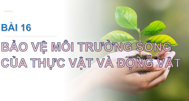 PowerPoint Tự nhiên và xã hội 2 Bài 16