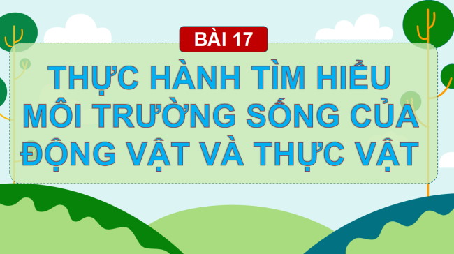 PowerPoint Tự nhiên và xã hội 2 Bài 17