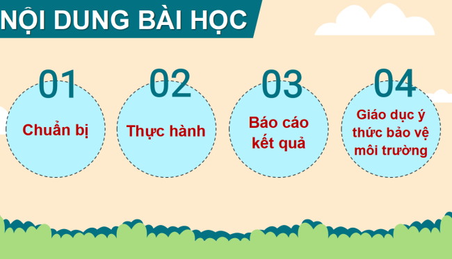 PowerPoint Tự nhiên và xã hội 2 Bài 17