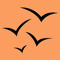 Đề cương ôn thi giữa kì 1 Tiếng Anh 8 Global Success