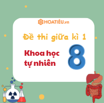 Bộ đề thi giữa học kì 1 KHTN 8 Theo CV 7991 (Có đáp án + Ma trận)