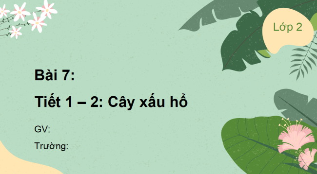 PowerPoint Tiếng Việt 2 Bài 7: Cây xấu hổ