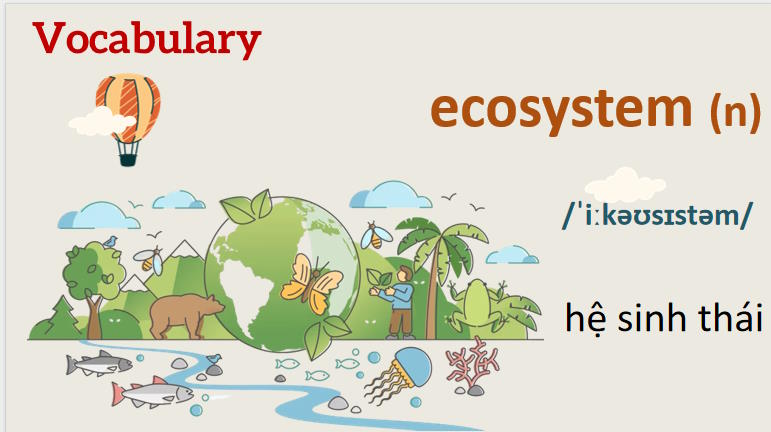 Giáo án PowerPoint Tiếng Anh 8 Unit 7: A Closer Look 1