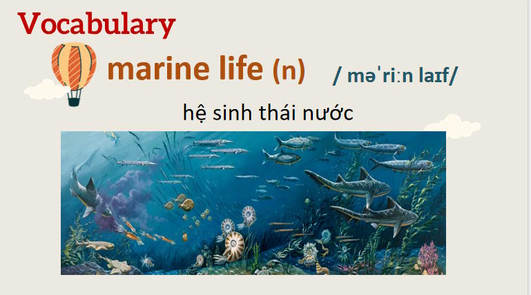 Giáo án PowerPoint Tiếng Anh 8 Unit 7: A Closer Look 1