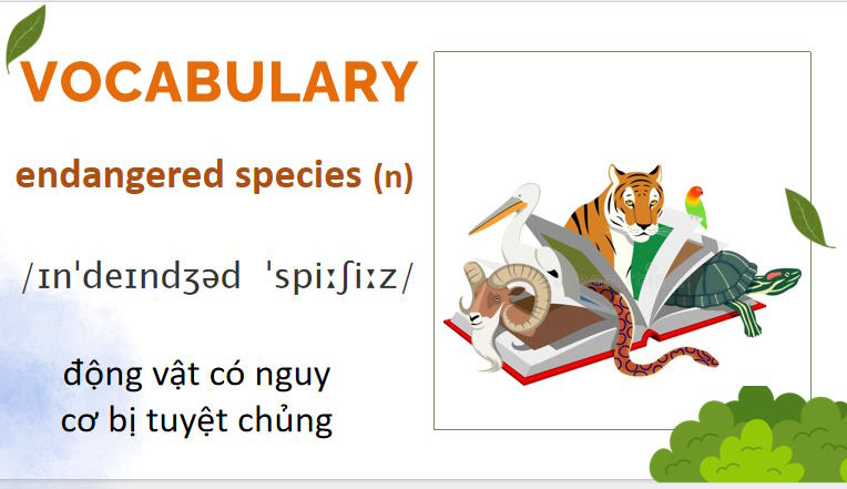 Giáo án PowerPoint Tiếng Anh 8 Unit 7: Getting Started