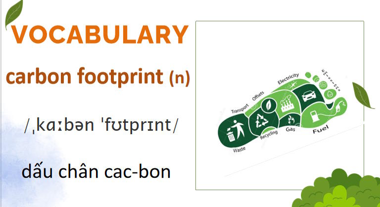 Giáo án PowerPoint Tiếng Anh 8 Unit 7: Getting Started