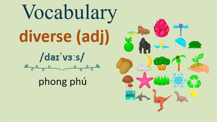 Giáo án PowerPoint Tiếng Anh 8 Unit 7: Skills 1