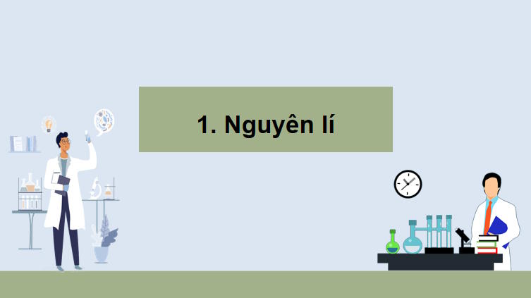 Giáo án PowerPoint Sinh học 10 Bài 11