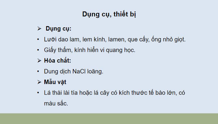 Giáo án PowerPoint Sinh học 10 Bài 11