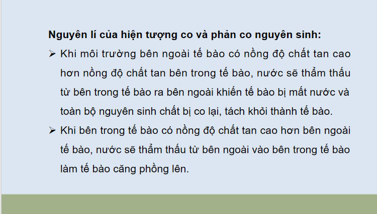 Giáo án PowerPoint Sinh học 10 Bài 11