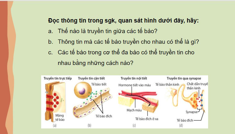 Giáo án PowerPoint Sinh học 10 Bài 12