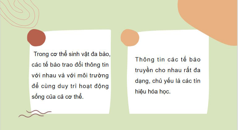 Giáo án PowerPoint Sinh học 10 Bài 12