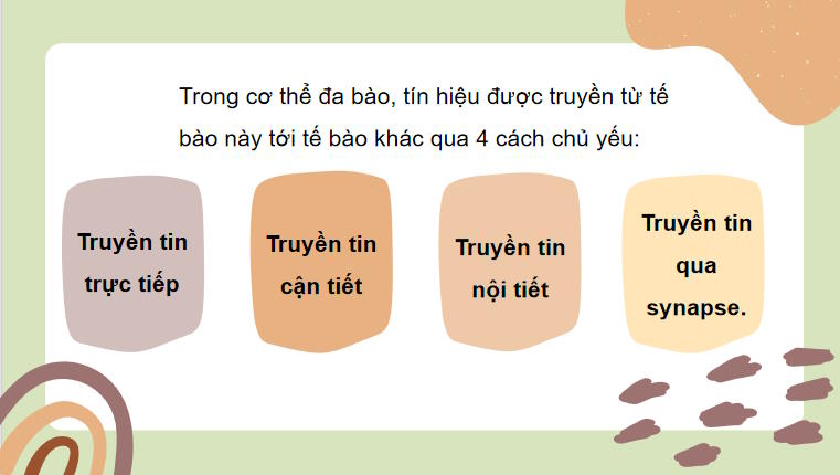 Giáo án PowerPoint Sinh học 10 Bài 12