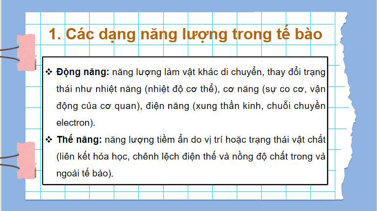 Giáo án PowerPoint Sinh học 10 Bài 13