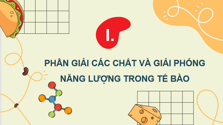 Giáo án PowerPoint Sinh học 10 Bài 14