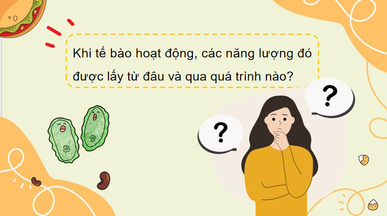 Giáo án PowerPoint Sinh học 10 Bài 14