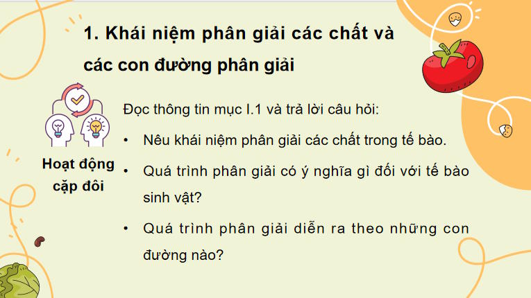 Giáo án PowerPoint Sinh học 10 Bài 14