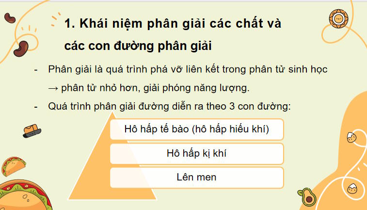 Giáo án PowerPoint Sinh học 10 Bài 14