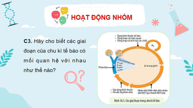 Giáo án PowerPoint Sinh học 10 Bài 16