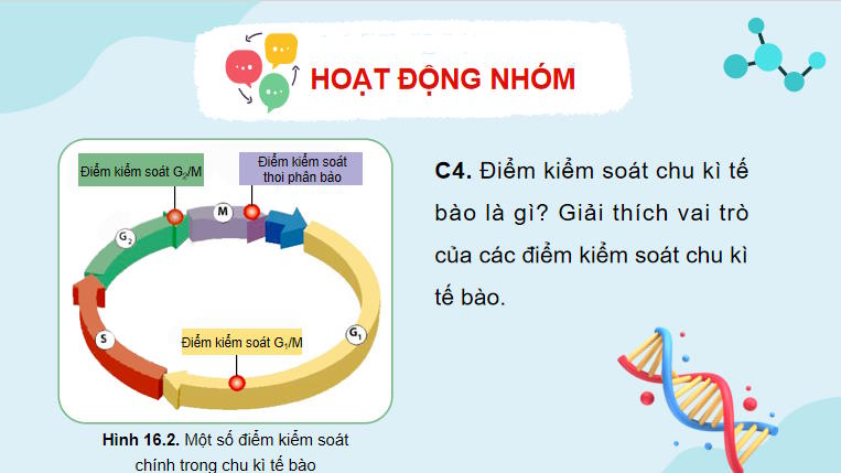 Giáo án PowerPoint Sinh học 10 Bài 16