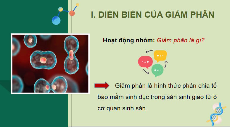 Giáo án PowerPoint Sinh học 10 Bài 17