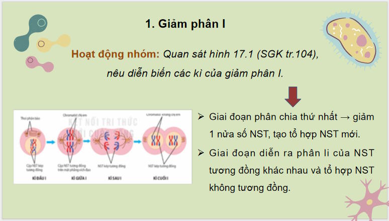 Giáo án PowerPoint Sinh học 10 Bài 17