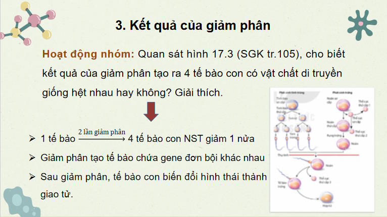 Giáo án PowerPoint Sinh học 10 Bài 17