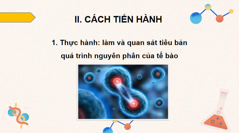 Giáo án PowerPoint Sinh học 10 Bài 18