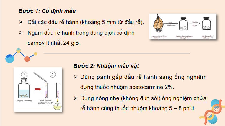 Giáo án PowerPoint Sinh học 10 Bài 18