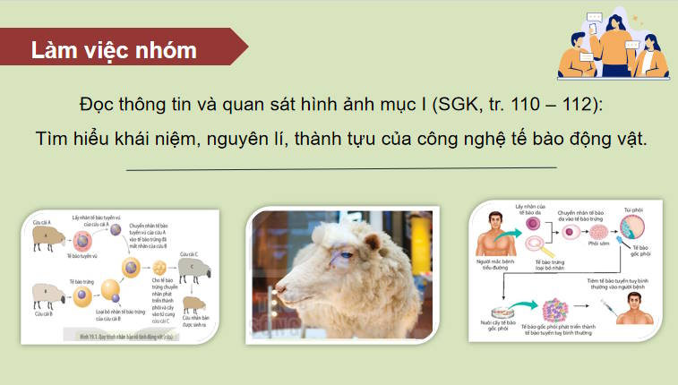 Giáo án PowerPoint Sinh học 10 Kết nối Bài 19
