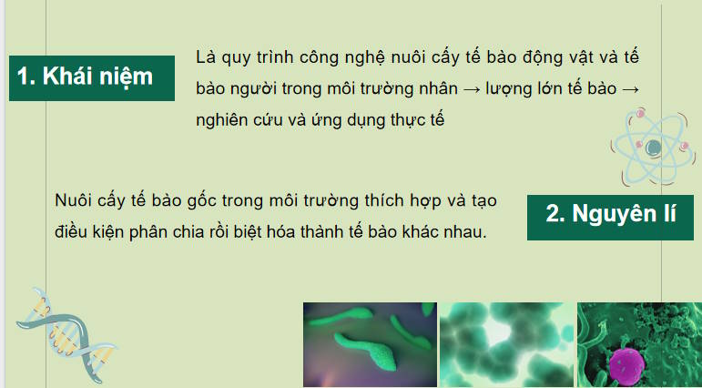 Giáo án PowerPoint Sinh học 10 Kết nối Bài 19