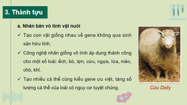 Giáo án PowerPoint Sinh học 10 Kết nối Bài 19