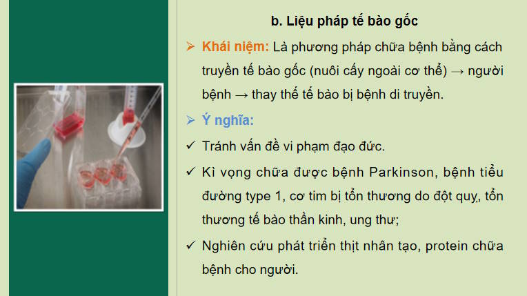 Giáo án PowerPoint Sinh học 10 Kết nối Bài 19