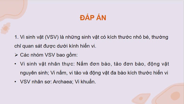 Giáo án PowerPoint Sinh học 10 Kết nối Bài 20