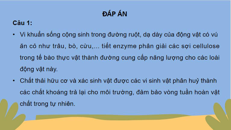 Giáo án PowerPoint Sinh học 10 Kết nối Bài 22