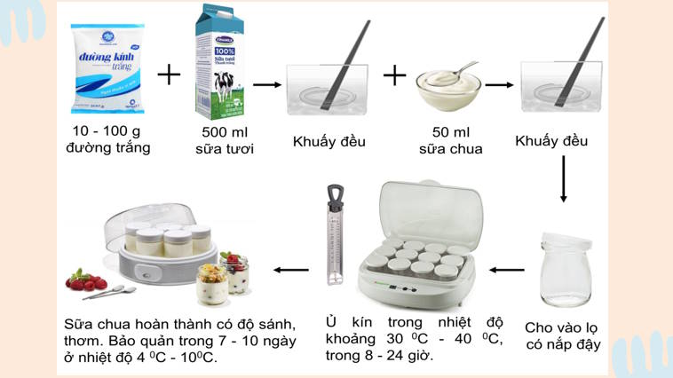 Giáo án PowerPoint Sinh học 10 Kết nối Bài 23