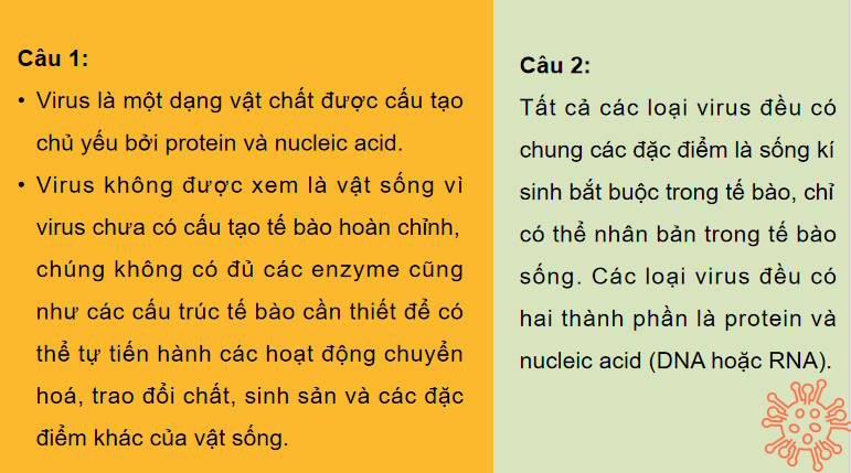 Giáo án PowerPoint Sinh học 10 Kết nối Bài 24